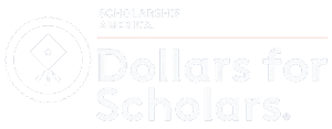 DFS Logo